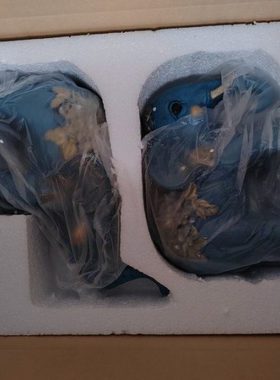 大象树脂描金摆件19*14cm招财创意家居客厅酒柜装饰品工艺品摆件