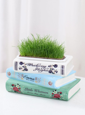 【比翼连枝】书本陶瓷花盆