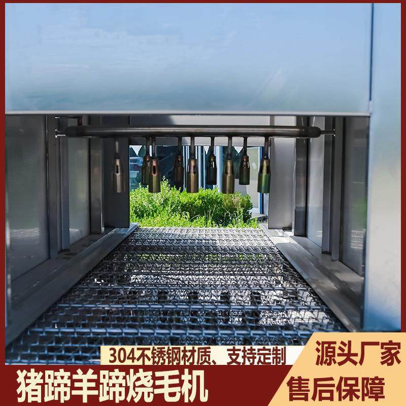 全自动连续式烧毛机带皮五花肉烧毛机鸡鸭鹅猪蹄燎毛机辣椒烧椒机,淘宝优惠券,粉丝福利购,淘宝优惠卷