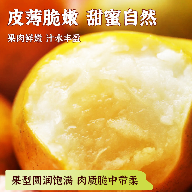 【所有女生直播间】融安脆蜜金柑第三代脆蜜金桔橘子新鲜水果脆甜,淘宝优惠券,粉丝福利购,淘宝优惠卷