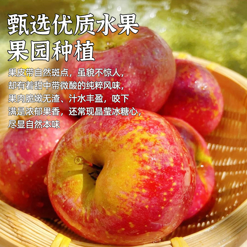 ������ͨ��ƻ�����������ʺ츻ʿ��ƻ������ 75mm-80mm 2.25kg 30.99Ԫ