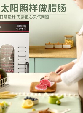 志高食品烘干机家用宠物