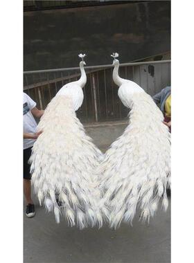 新款仿真白色羽毛拖尾孔