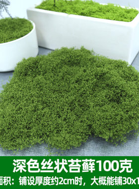 假绿植仿真苔藓草皮室内