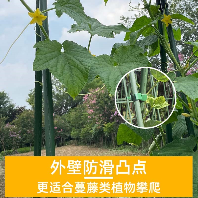 园艺爬藤架包塑钢管支撑杆固定豆角月季黄瓜葡萄架植物花支架菜园 - 图1