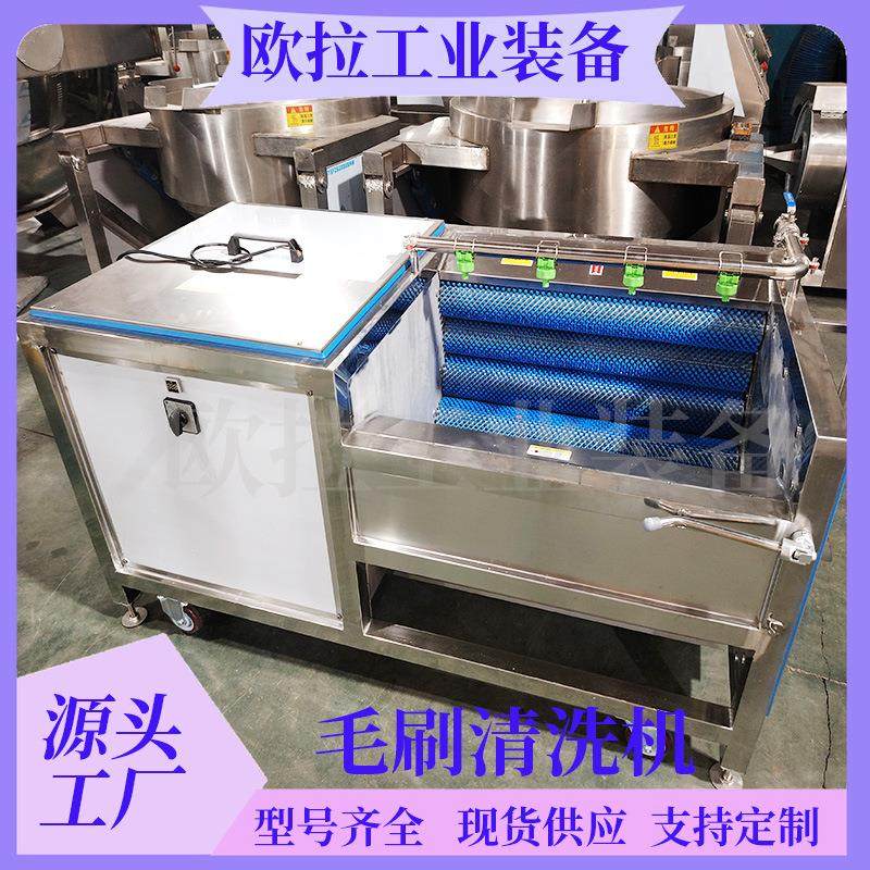 牡蛎海虹毛辊清洗去皮一体机 萝卜毛刷清洗设备 莲藕清洗去泥机,淘宝优惠券,粉丝福利购,淘宝优惠卷