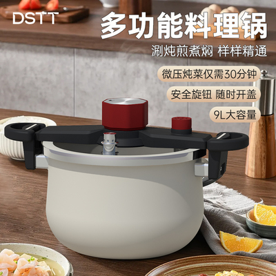 DSTT炖煮微压锅高颜值珐琅锅家用煲汤双耳料理锅煮粥煮面不粘锅