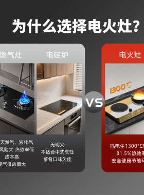 华火电火灶电陶炉新款组合双灶