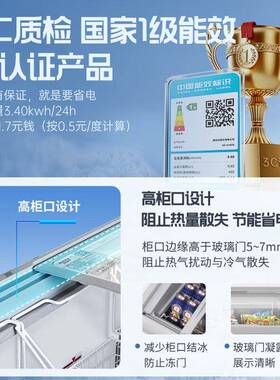 澳柯玛冰柜展示柜商用小型冷柜平面钢化玻璃推拉门商超雪糕柜