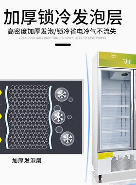 铭雪立式双门风冷冷冻冰淇淋雪糕展示柜陈列柜冰柜冰箱商用保鲜柜