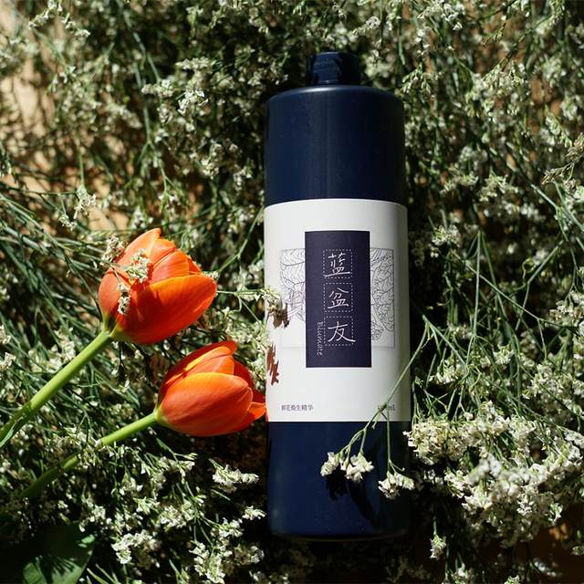 Blue Boy Friends Flower Display Essence Nutrition Liquid General Flower Preservative Store Use cut flower preservative liquid to extend the flowering period