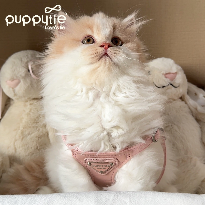 puppytie猫绳牵引绳背心式防挣脱