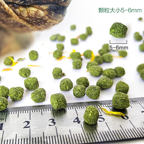陆龟粮花草粮仙人掌饲料马祖瑞乌龟主食水果粮替代粮营养爬宠食物 - 图3