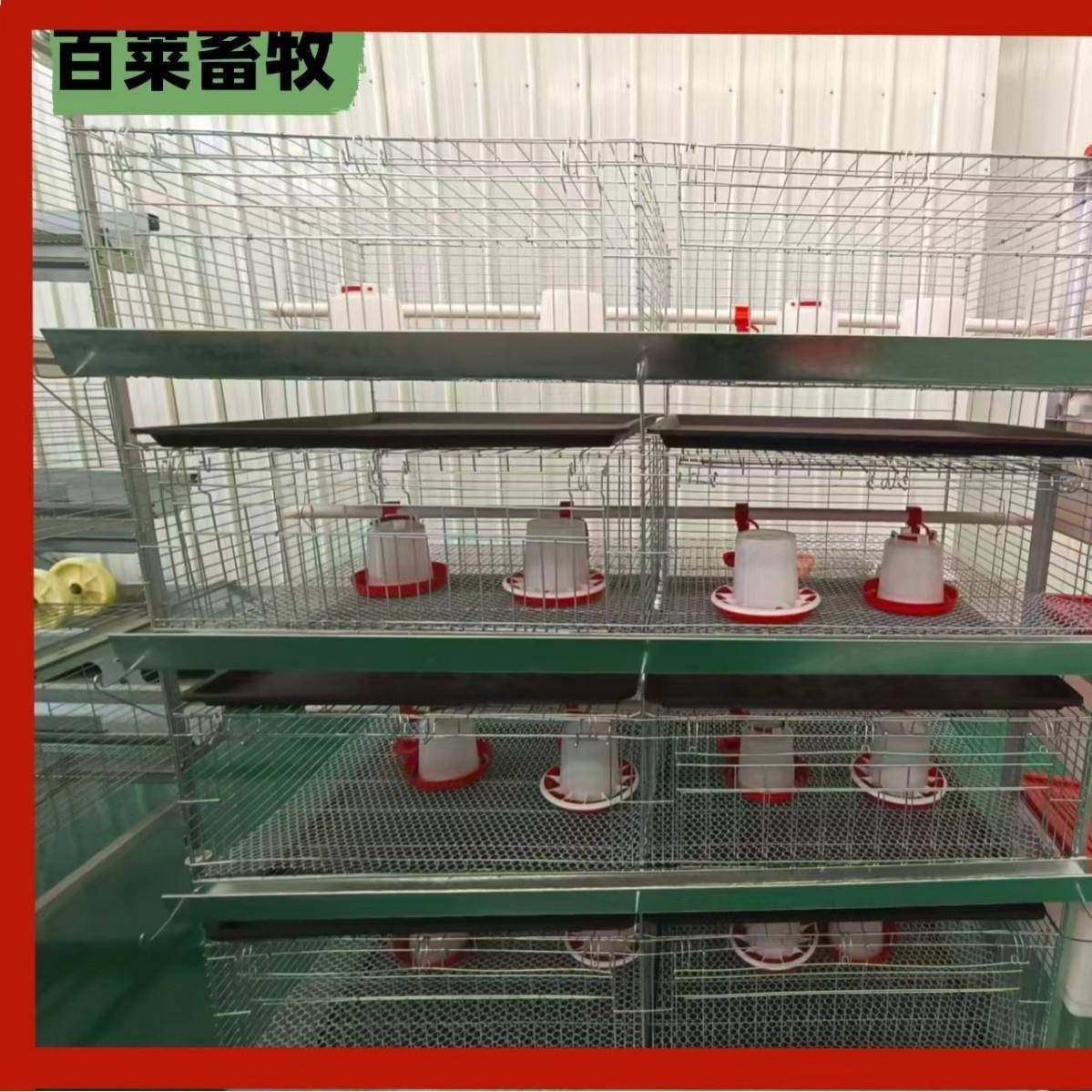 镀锌丝小鸡笼，加密加粗，防锈耐用，为小鸡提供安全防护配件全,淘宝优惠券,粉丝福利购,淘宝优惠卷