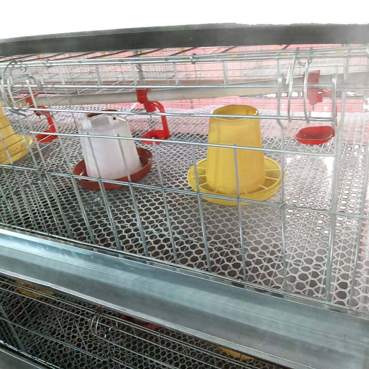 镀锌丝小鸡笼，加密加粗，防锈耐用，为小鸡提供安全防护配件全,淘宝优惠券,粉丝福利购,淘宝优惠卷