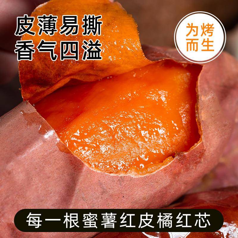 烟薯25号新鲜农家自种沙地板栗红薯5黄心斤蜜薯番薯烤地瓜10 - 图1