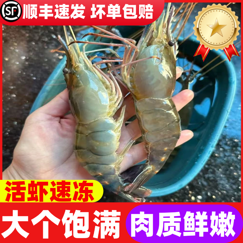 Raw shrimp, fresh extra-large macrobrachium, fresh big head shrimp, money shrimp, quick-frozen base shrimp, freshwater shrimp