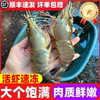 Raw shrimp, fresh extra-large macrobrachium, fresh big head shrimp, money shrimp, quick-frozen base shrimp, freshwater shrimp