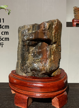 天然木化石硅化木树化玉石头观赏石奇石玉石家居装饰收藏