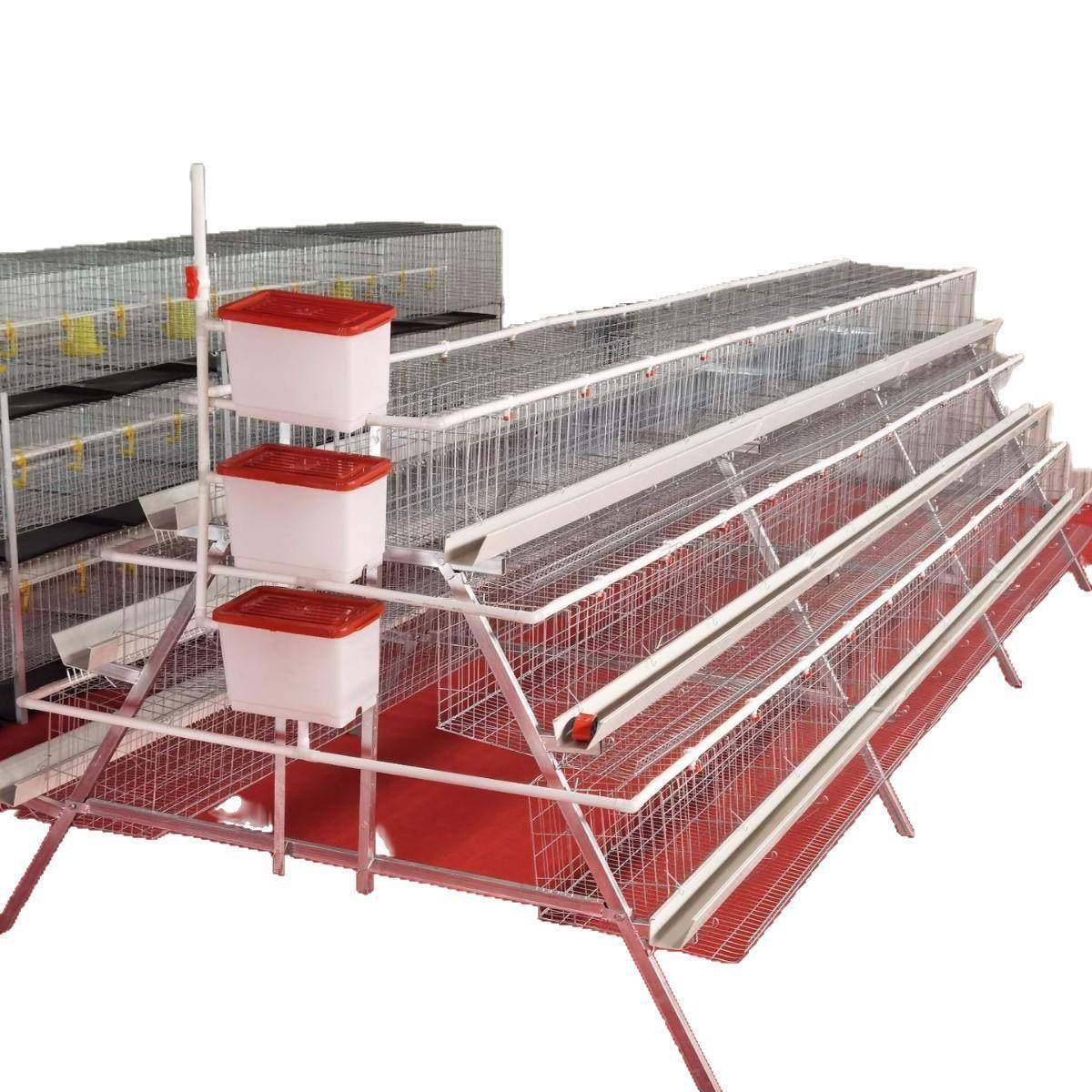 A型阶梯蛋鸡笼源头厂家三层四门阶梯蛋鸡笼热镀锌鸡舍家用养殖场,淘宝优惠券,粉丝福利购,淘宝优惠卷