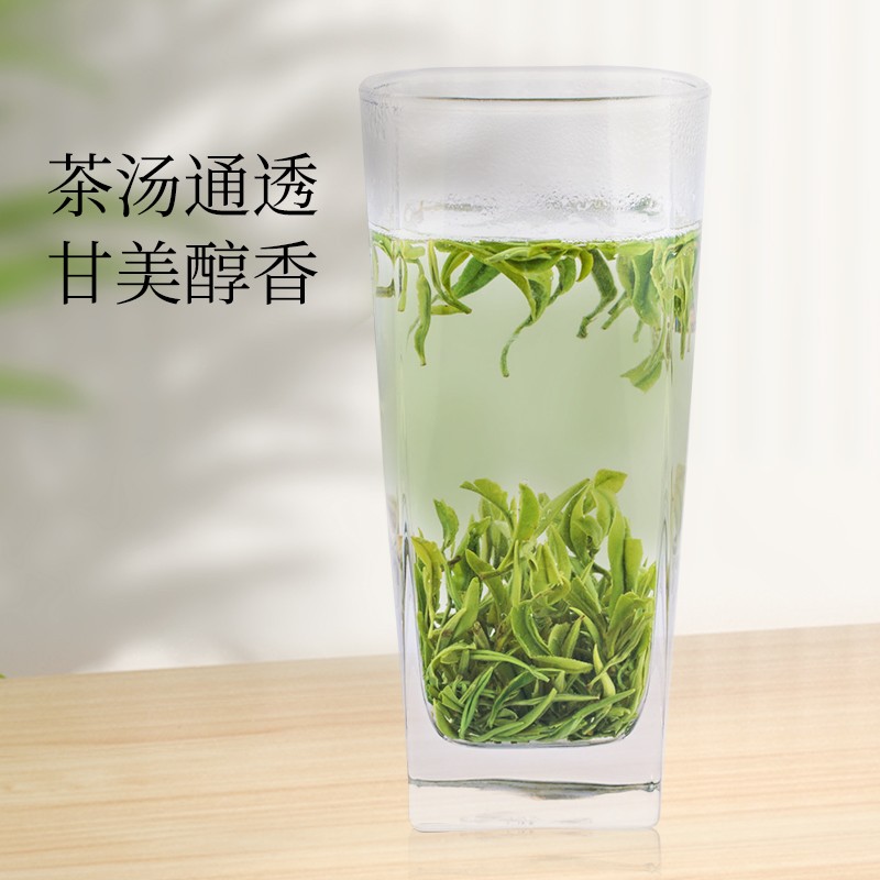 一杯春茶 2025遂川狗牯脑珍品绿茶明前头采春茶浓香耐泡一芽一叶