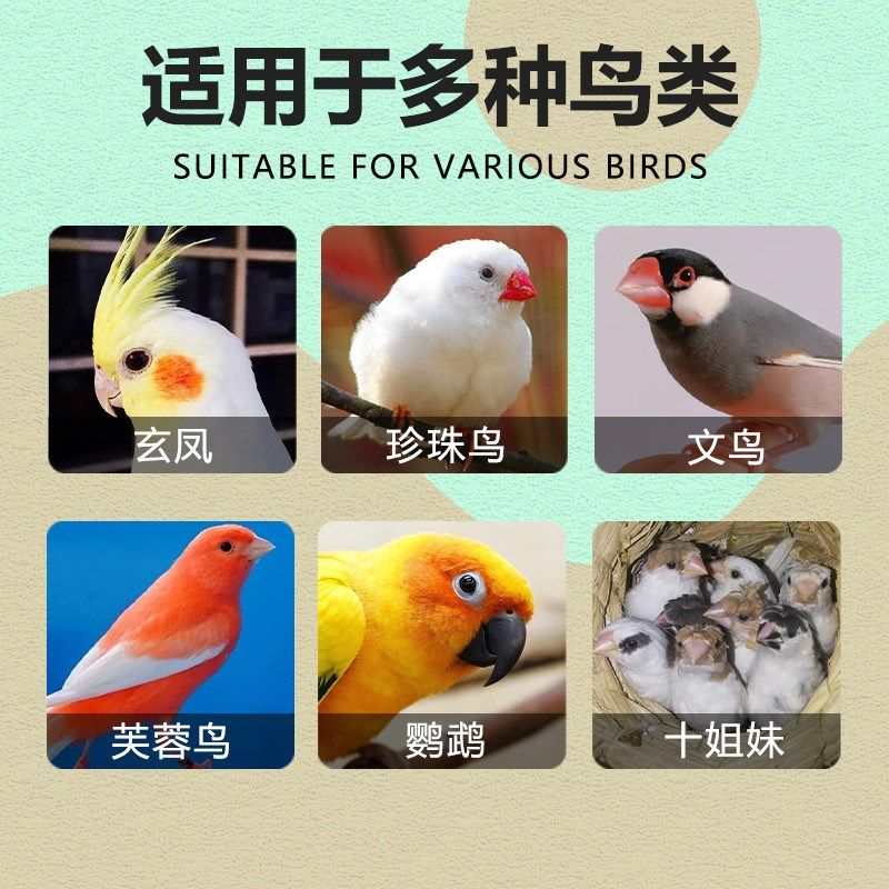 鸟窝鹦鹉窝草编鸟巢玄风牡丹虎皮珍珠文鸟窝鸟保暖繁殖玩具用品,淘宝优惠券,粉丝福利购,淘宝优惠卷