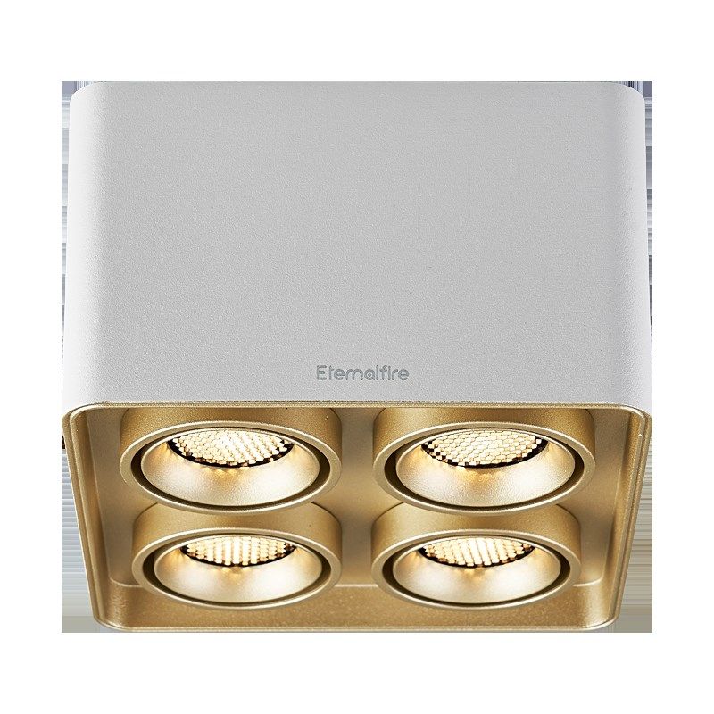 EFE Bogle无主灯/斗胆灯全光谱护眼明装筒灯防眩客厅卧室智能灯具,淘宝优惠券,粉丝福利购,淘宝优惠卷