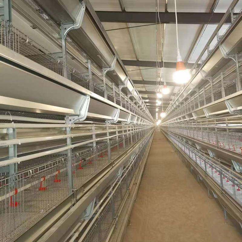 镀锌鸡笼全自动青年鸡笼层叠立式青年鸡笼设备自动一体化清粪笼,淘宝优惠券,粉丝福利购,淘宝优惠卷