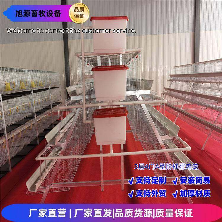 养殖家用3层4门蛋鸡笼A型笼阶梯笼镀锌工艺养殖设备,淘宝优惠券,粉丝福利购,淘宝优惠卷