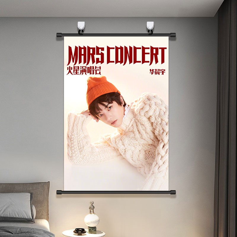 华晨宇海报挂画2024火星演唱会花花应援明星周边宿舍免打孔装饰画 - 图2