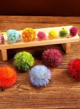 刺身花草仿真装饰品冷菜摆盘绿毛球 中式国风三文鱼盘饰摆件