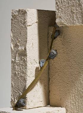 白色不规则几何体拍照道具陈列摆件高级感小众静物摄影装饰背景