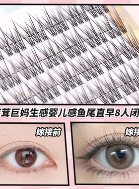 丝绒鱼尾分段式假睫毛