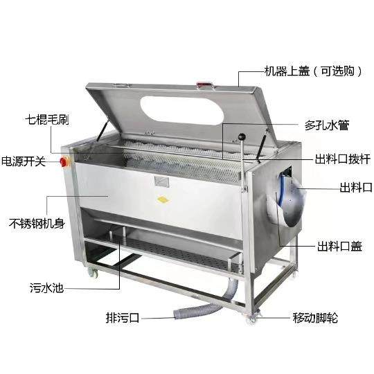 毛辊清洗机土豆莲藕清洗去皮机全自动马蹄魔芋猪蹄毛刷清洗设备,淘宝优惠券,粉丝福利购,淘宝优惠卷