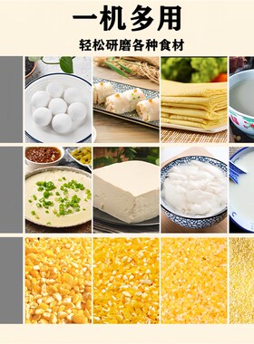 型钢砂互换干湿两用磨粉磨浆浆豆浆五谷杂粮玉粉碎