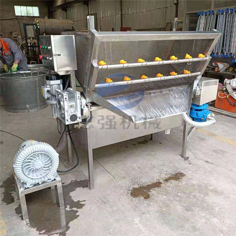 青芒果蔬气泡清洗机 脐橙柚子清洗风干设备 蔬菜配送 净菜清洗机,淘宝优惠券,粉丝福利购,淘宝优惠卷