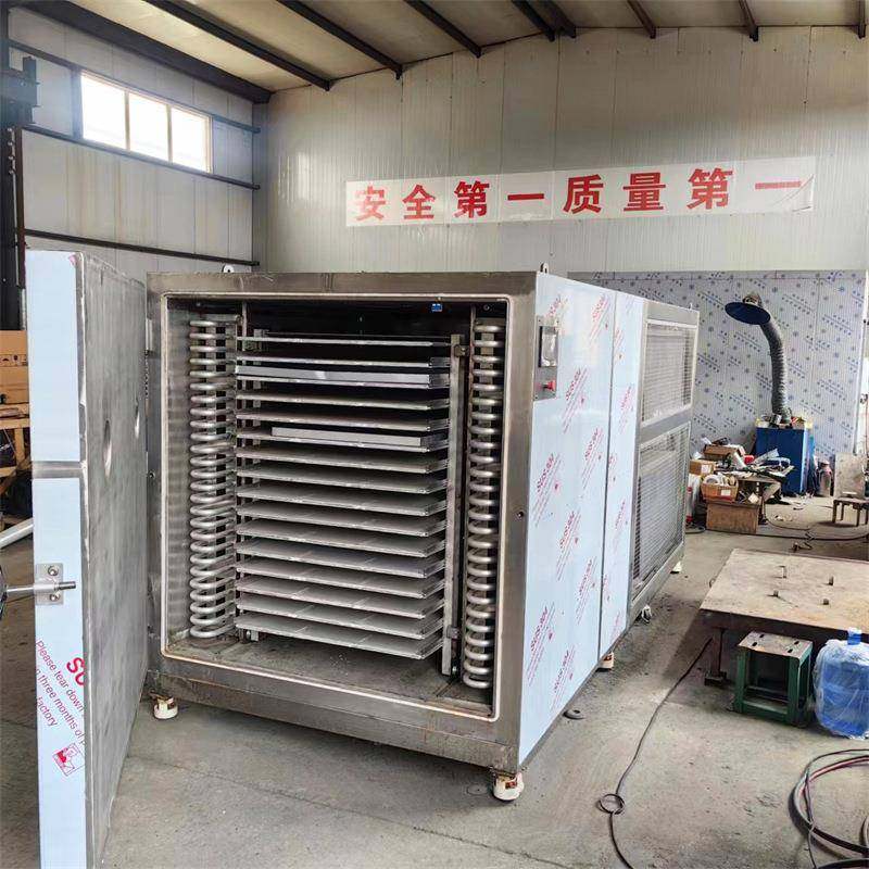 雏菊玫瑰低温脱水干燥机 花椒粉桂枝真空干燥机 松茸真空冻干机,淘宝优惠券,粉丝福利购,淘宝优惠卷