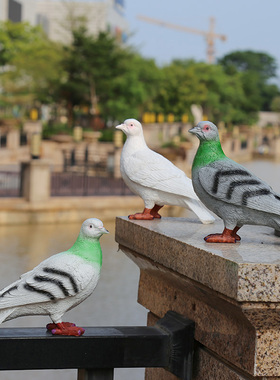 花园装饰 庭院摆件户外阳台 房顶装饰摆设树脂动物仿真鸽子摆件