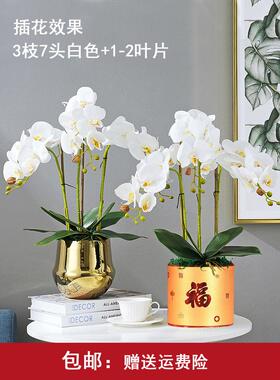 白色高档仿真蝴蝶兰仿真花高品质假花兰花塑料花仿生花永生花花艺