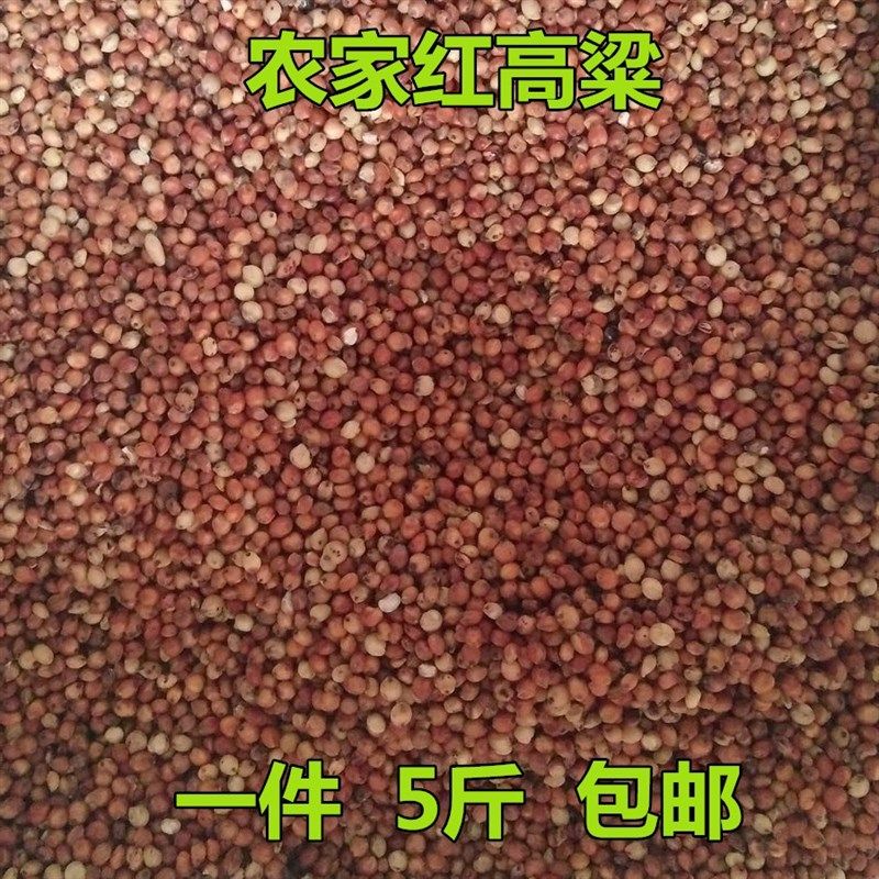 北京年冠保健砂营养土 鸽粮 红花籽花椒籽葡萄籽高粱籽鸽子营养食,淘宝优惠券,粉丝福利购,淘宝优惠卷