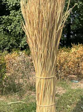 稻草专用农家乐草编织柔软保暖装饰瓦房谷草霉豆腐天然新鲜干稻草
