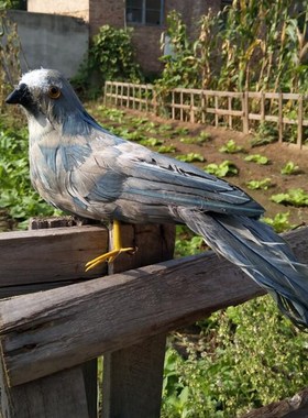 仿真羽毛鸽子家居摆件和平白鸽场景布置婚庆装饰摄影道具动物模型