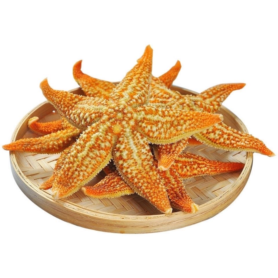 海星海鲜鲜活食用新鲜海五星满籽速冻海星连云港特产500g包邮 - 图1