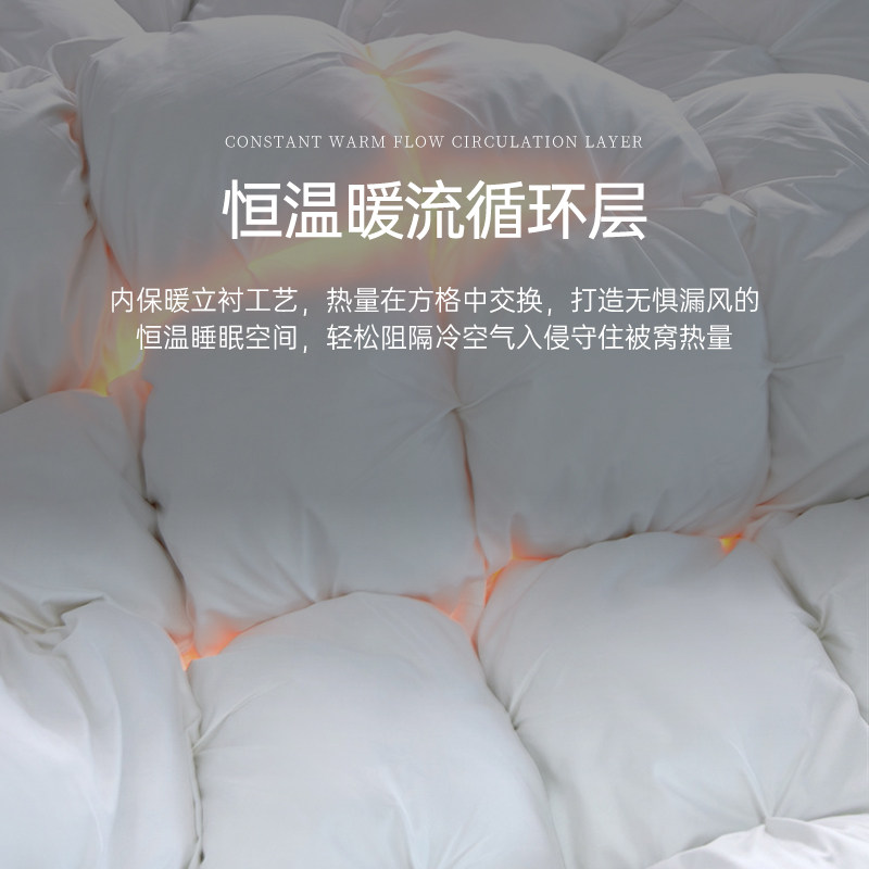 羽绒被轻奢进口95白鹅绒冬被加厚保暖结婚官方旗舰店正品被芯,淘宝优惠券,粉丝福利购,淘宝优惠卷