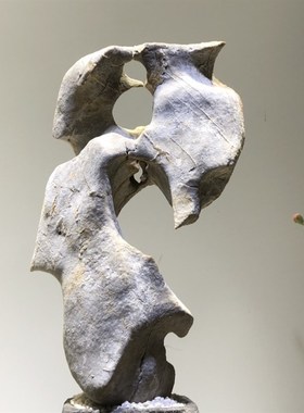 天然太湖石奇石观赏石鱼缸假山石头景观石盆景园林灵璧石