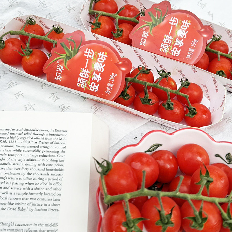 【知翠】串收樱桃小番茄脆甜玲珑串新鲜水果西红柿生吃自然熟顺丰,淘宝优惠券,粉丝福利购,淘宝优惠卷