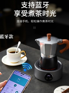 110V美规超迷你电陶炉