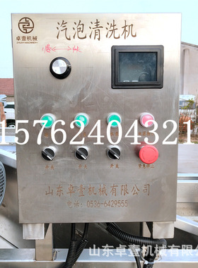 椰枣大枣气泡清洗机蔬菜水果全自动清洗机包装袋去油清洗设备