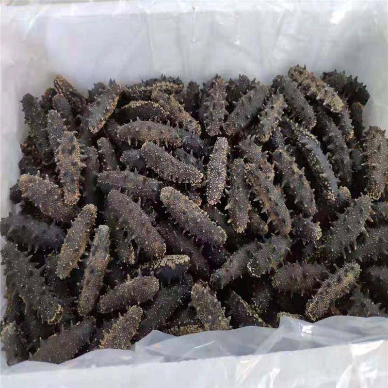 高精度重量分选机鸡肉重量分选设备鲳鱼重量称重设备,淘宝优惠券,粉丝福利购,淘宝优惠卷