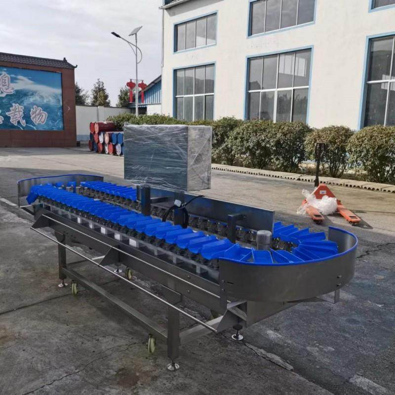 高精度重量分选机鸡肉重量分选设备鲳鱼重量称重设备,淘宝优惠券,粉丝福利购,淘宝优惠卷